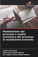 Modellazione del processo e analisi economica del processo di ossidazione avanzata 6205311267 Book Cover