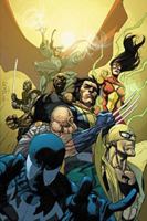 New Avengers by Brian Michael Bendis: The Complete Collection, Vol. 3 1302903640 Book Cover