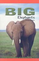 Big Elephants 0823981010 Book Cover