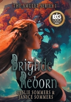 Brighde Reborn 164450698X Book Cover