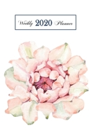 2020 Weekly Planner: 6 x 9 inch 150 Pages Year Months Weeks Calendar, Schedule, and Organizer plus Dot Grid Pages (January 2020 - December 2020) (Cactus) 1695477545 Book Cover