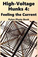 High-Voltage Hunks 4: Feeling the Current: Electricity Pylon Photo Book B0GNZLTFBH Book Cover