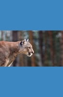 Edward's Choice B0F18H5LGZ Book Cover