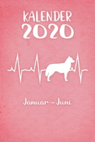 Kalender 2020: Rosa Tageskalender Sibirischer Husky Herzschlag Hunde 1. Halbjahr Januar Juni ca DIN A5 weiß über 190 Seiten 1650670605 Book Cover