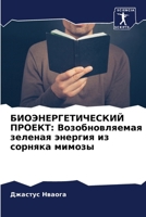 ????????????????? ... (Russian Edition) 620721966X Book Cover