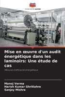 Mise en œuvre d'un audit énergétique dans les laminoirs: Une étude de cas: Mesures d'efficacité énergétique 6206093301 Book Cover