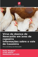 Vírus da doença de Newcastle em aves de capoeira Informações sobre o vale de Caxemira (Portuguese Edition) 6208041929 Book Cover