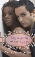 Bridging the Gap 1539117863 Book Cover