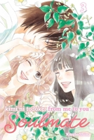 Kimi Ni Todoke: From Me to You: Soulmate, Vol. 3 1974749010 Book Cover