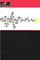 Infezione da Babesia gibsoni in cani della regione di Puducherry 6205334615 Book Cover