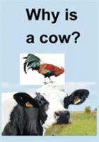 Why Is a Cow? 1683487133 Book Cover