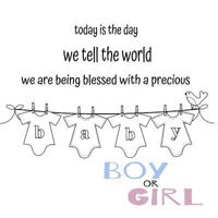 Today is the day we tell the world! Gender Reveal: Girl 1548651095 Book Cover