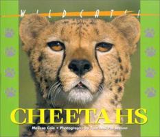Wildcats of the World - Cheetahs (Wildcats of the World) 1567114490 Book Cover
