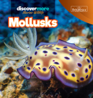 Mollusks 1641903570 Book Cover