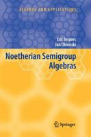 Noetherian Semigroup Algebras 1402058098 Book Cover