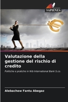 Valutazione della gestione del rischio di credito: Politiche e pratiche in Nib International Bank S.co. (Italian Edition) 6207637739 Book Cover