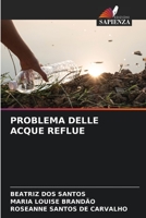 Problema Delle Acque Reflue 6205587130 Book Cover