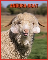 Angora Goat: Fun Facts & Cool Pictures B08W7SQ5DL Book Cover