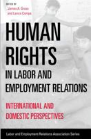 Human Rights in Labor and Employment Relations: International and Domestic Perspectives 0913447986 Book Cover