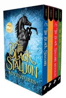 Black Stallion Adventure Set 039484176X Book Cover