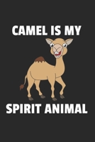 Kamel Notizbuch: Kamel Notizbuch f�r Liebhaber / Notizheft / Notizblock A5 (6x9in) Dotted Notebook / Punkteraster / 120 gepunktete Seiten 1671654463 Book Cover