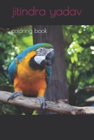 coloring book B0B4PCVND1 Book Cover