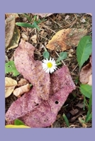 Source of Inspiration, Vol. 12: Inspirational Poetry B085K8N4H8 Book Cover