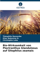 Bio-Wirksamkeit von Plectranthus Glandulosus auf Sitophilus zeamais (German Edition) 620441593X Book Cover