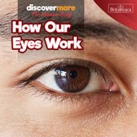 How Our Eyes Work 1641904429 Book Cover