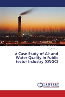 A Case Study of Air and Water Quality in Public Sector Industry 3659376574 Book Cover