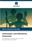 Information und öffentliche Sicherheit (German Edition) 6209340784 Book Cover