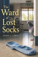 The Ward of Lost Socks B0H3KJWBBK Book Cover
