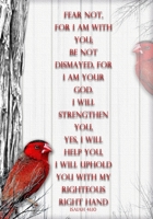 Isaiah 41:10: Red Bird Bible Verse Journal 1653264179 Book Cover