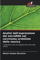 Analisi dell'espressione dei microRNA nel carcinoma uroteliale della vescica (Italian Edition) 6208640385 Book Cover