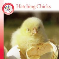 Hatching Chicks 1603430172 Book Cover