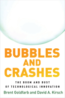 Bubbles and Crashes 0804793832 Book Cover