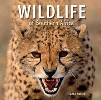 Wildlife of Southern Africa 1770078460 Book Cover