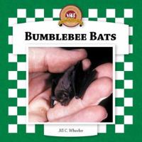 Bumblebee Bats 1596793201 Book Cover