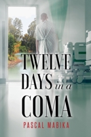 Twelve Days in a Coma - from the Jordan River to His Bedside 1950596613 Book Cover