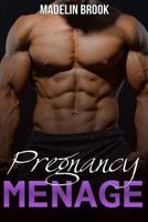 Pregnancy Menage 1530738377 Book Cover