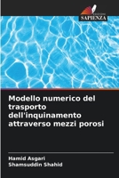 Modello numerico del trasporto dell'inquinamento attraverso mezzi porosi (Italian Edition) 6208452600 Book Cover