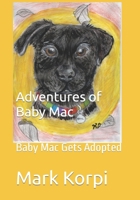 Adventures of Baby Mac: Baby Mac Gets Adopted B0BW3HR1N9 Book Cover
