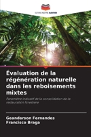 Évaluation de la régénération naturelle dans les reboisements mixtes: Paramètre indicatif de la consolidation de la restauration forestière 6206204251 Book Cover