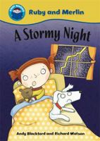 A Stormy Night 0750262168 Book Cover