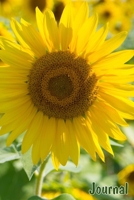 Journal: Sunflower Journal - Bright Sunshine Yellow Sunflower Notebook - Sunflower Gifts for Women - 6x9 Inches - 120 Blank Lined Pages - Paperback Matte Soft Cover 170242233X Book Cover