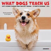 What Dogs Teach Us 2026 Mini Wall Calendar 1549253832 Book Cover