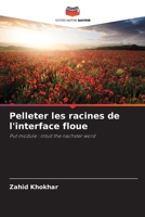 Pelleter les racines de l'interface floue (French Edition) 6208561922 Book Cover