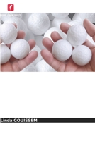 Estudo comparativo da incorporação de cargas minerais no PEAD 6209217206 Book Cover