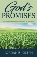 God's Promises: What Happens Between the Promise and the Fulfillment? 1486620981 Book Cover