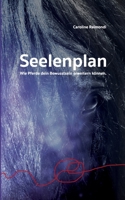 Seelenplan: Wie Pferde dein Bewusstsein erweitern können. 3753405515 Book Cover